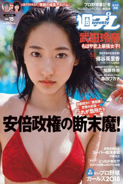 白色城堡